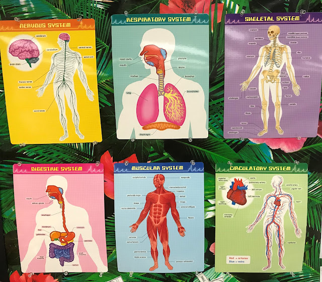 A Kinder Philosophy Of Success Ted Trndmrkr