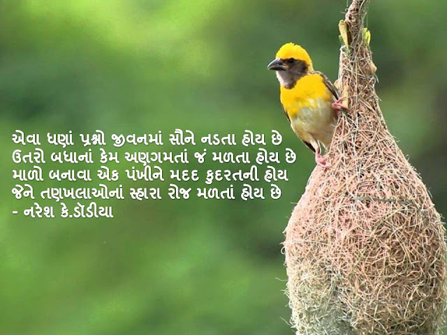 एवा धणां प्रश्नो जीवनमां सौने नडता होय छे Gujarati Muktak By Naresh K. Dodia
