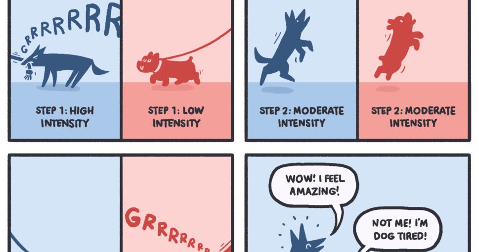 Behavioral Economics for Dogs