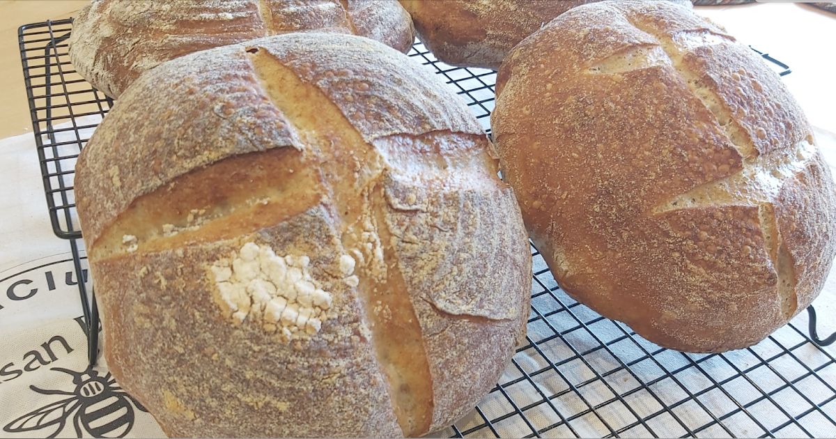 Sourdough Using an 1898 starter, born of the Klondike Gold Rush.