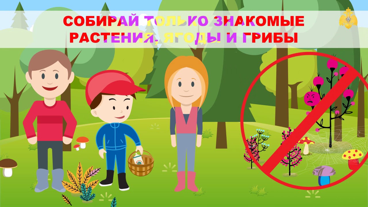 радостная встреча. знакомый собираться. знакомый собираться. стих про серегу. друзья советуют.