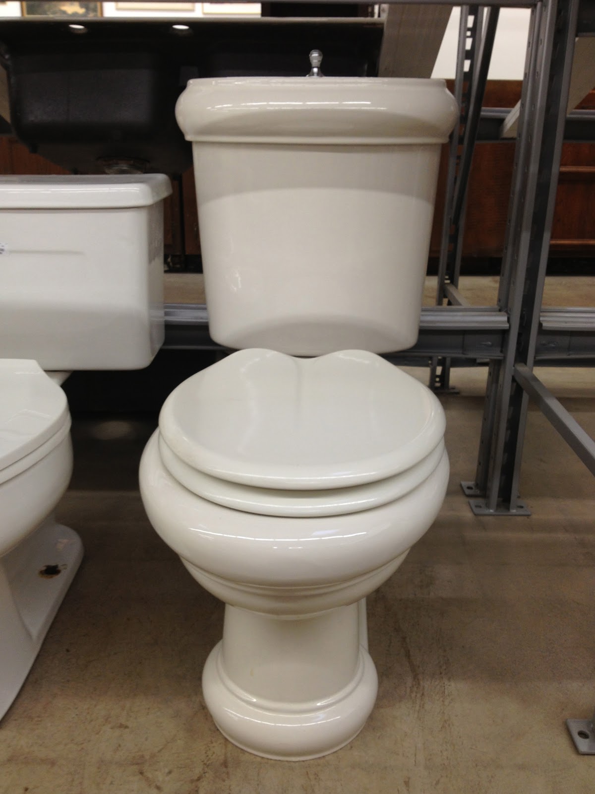 General Splendour I Bought A 1,000 Toilet Today! For 60 bucks!