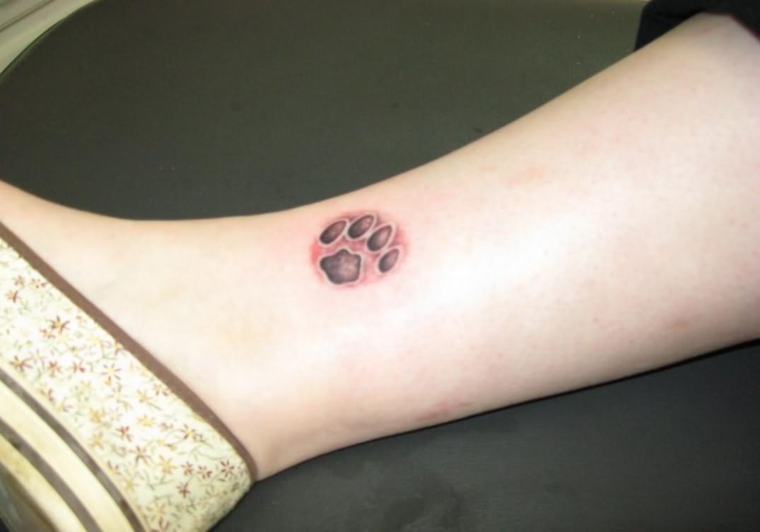 My Tattoo Designs Cat Footprint Tattoo My Tattoo Designs Cat Footprint Tattoo