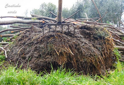 Valores e importância do estrume