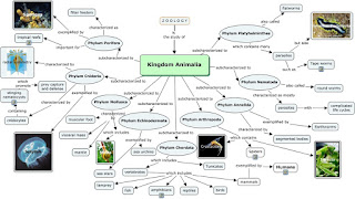 Kingdom Animalia : Defination, Classification, Phylum, Order Kingdom Animalia : Defination, Classification, Phylum, Order