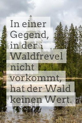 Die 50 besten Zitate zu den Themen Wald und Bäume | Waldzitate | Baumzitate | Naturzitate | Zitate-Wald | Inspirierende-Zitate