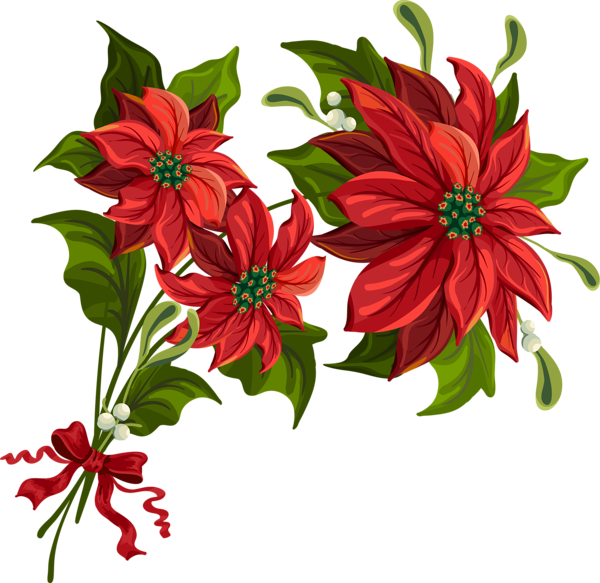 poinsettia flower free clip art - photo #23