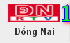 DN1
