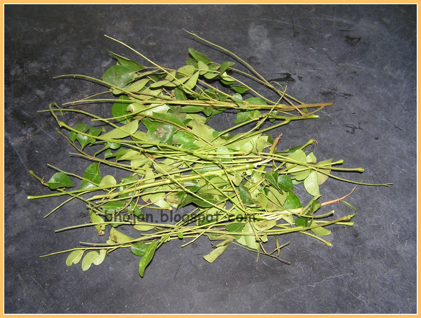 Bhojan Step by Step Demo How to store Curry Leaves?