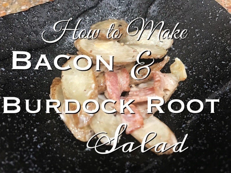 How to Make Savory Bacon Gobo Salad Burdock Root Salad It has grown
