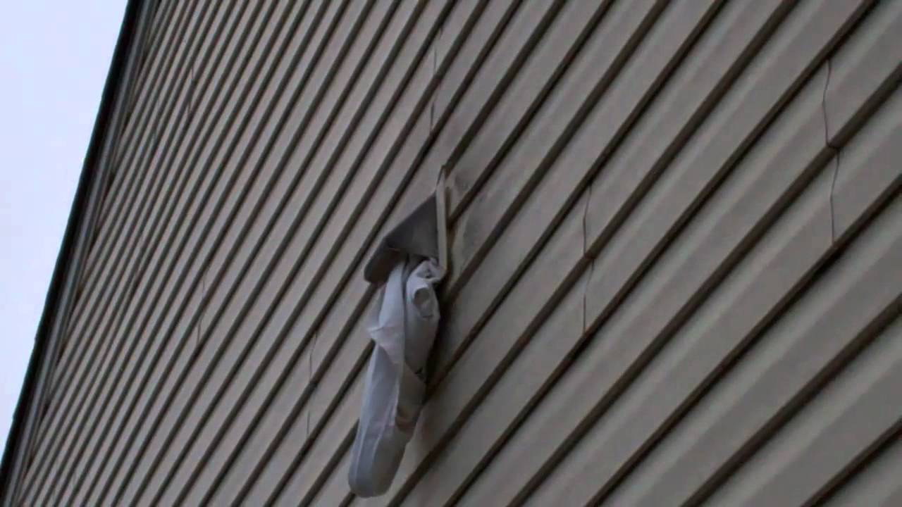 Bird In Everything Birds In Exhaust Vent