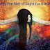 Calling all Lightworkers! You are Needed Now! | Dancing Dolphin Diana