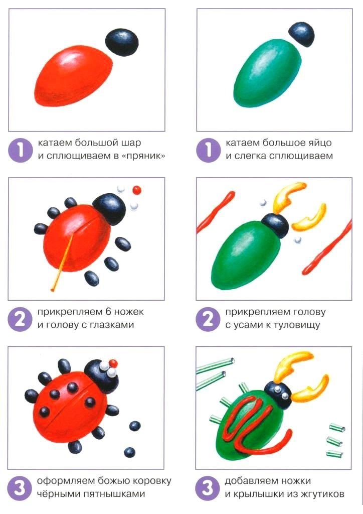 технологическая карта лепки мухомора лыкова. схема лепки насекомые для детей 5-6 лет. образцы лепки в старшей группе. технологическая карта по лепке в средней группе. схема лепки человыекав подготовительной группе.