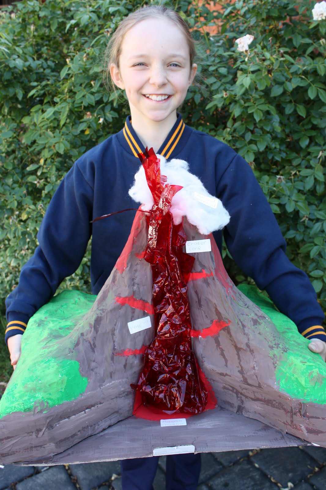 IMG_0109.JPG 1,066×1,600 pixels | Volcano science fair project, Volcano