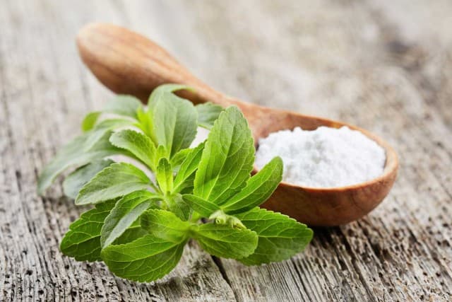 Stevia là gì ? Có gây hại sức khỏe không Stevia là gì ? Có gây hại sức khỏe không