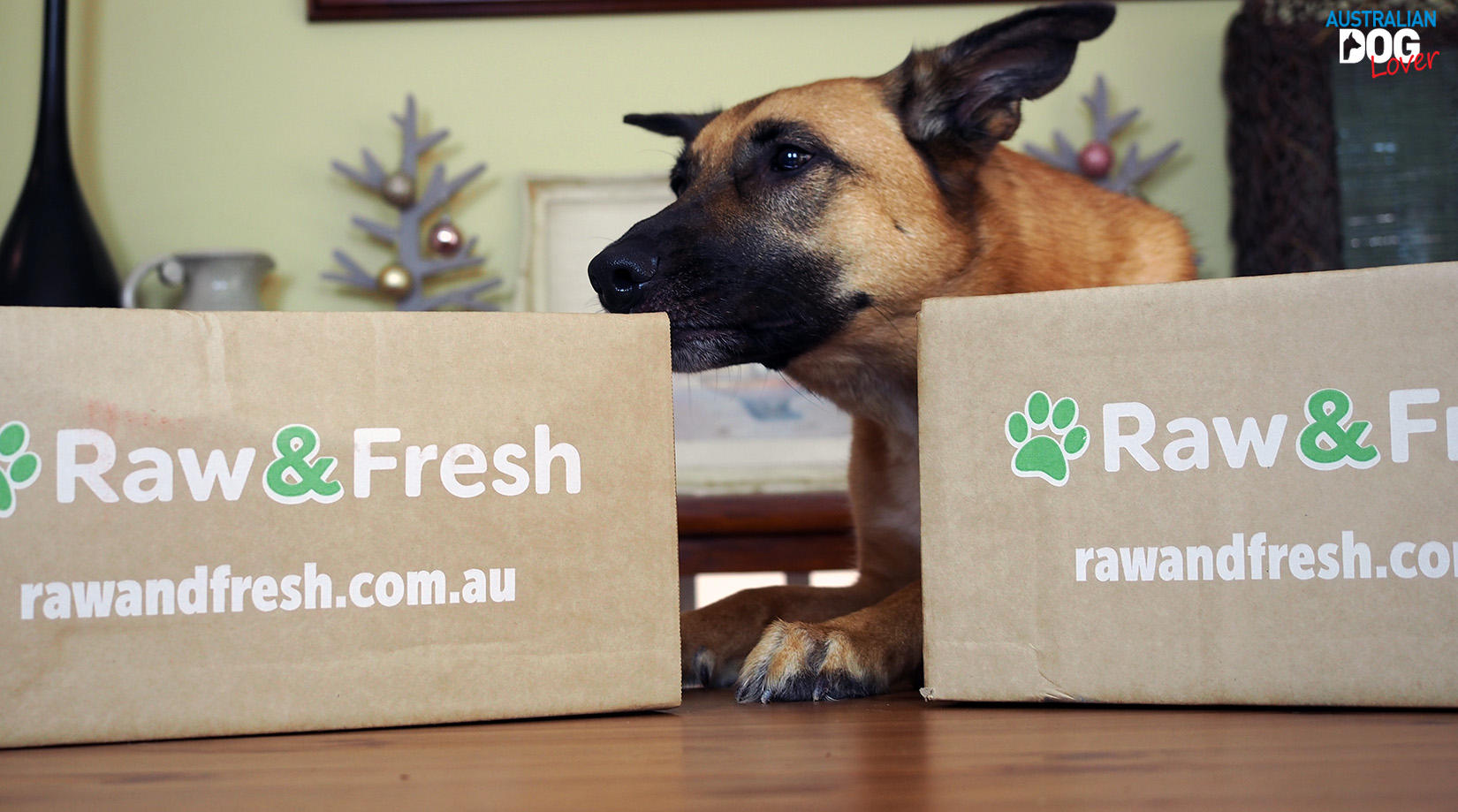 Featured image of post Recipe of Raw And Fresh
