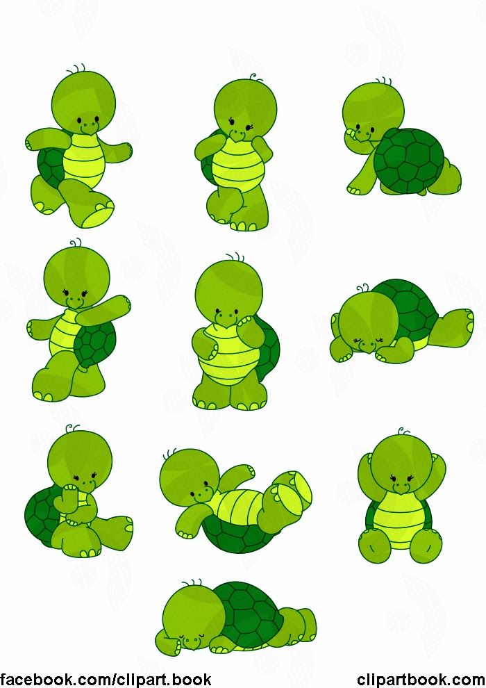 baby turtle clipart - photo #21
