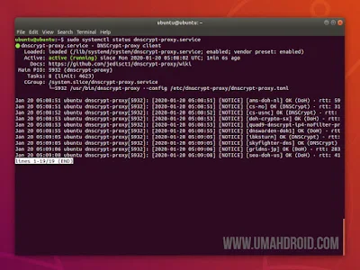 Cara Menggunakan DNSCrypt di Ubuntu