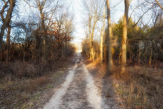 National Park service road through the woods. Photo by Jerry Yoakum.