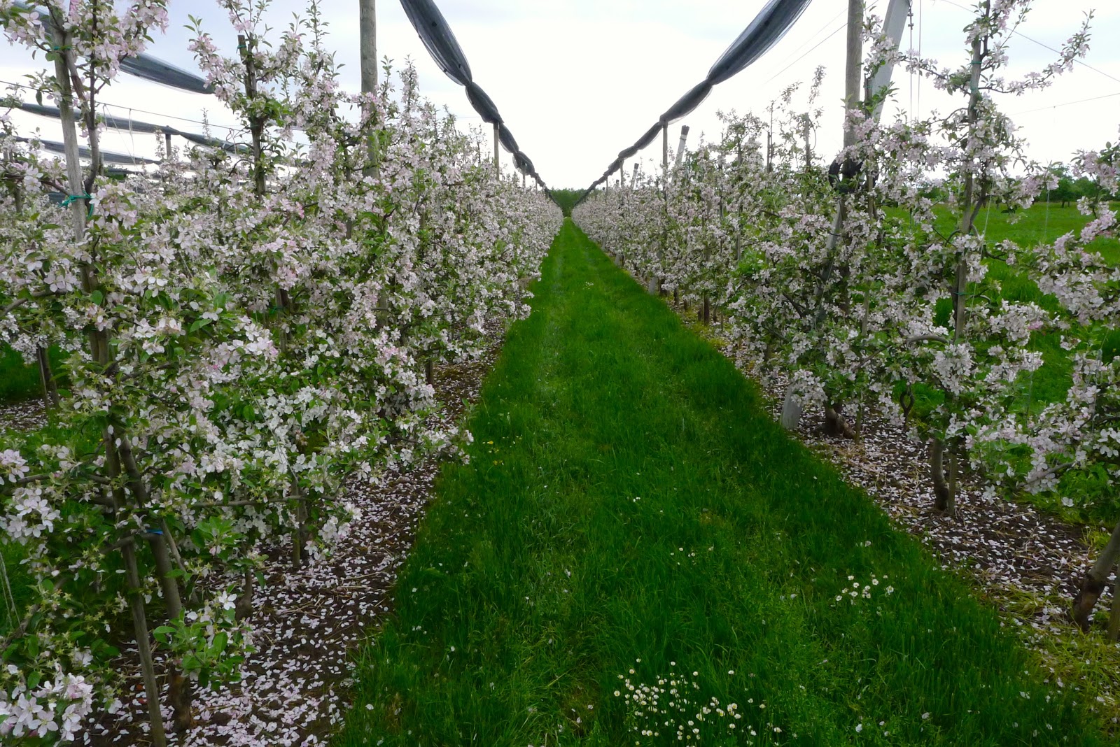 Urban Sketchers Switzerland Thurgau