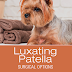 Luxating Patella Surgical Repair