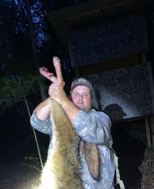 Marian's Hunting Stories, etc., etc., etc... The Biggest Coyote