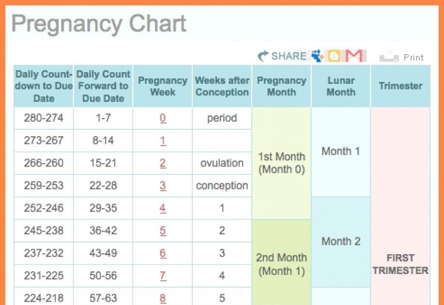 Pregnancy Week Calendar ~ Certificate Letter