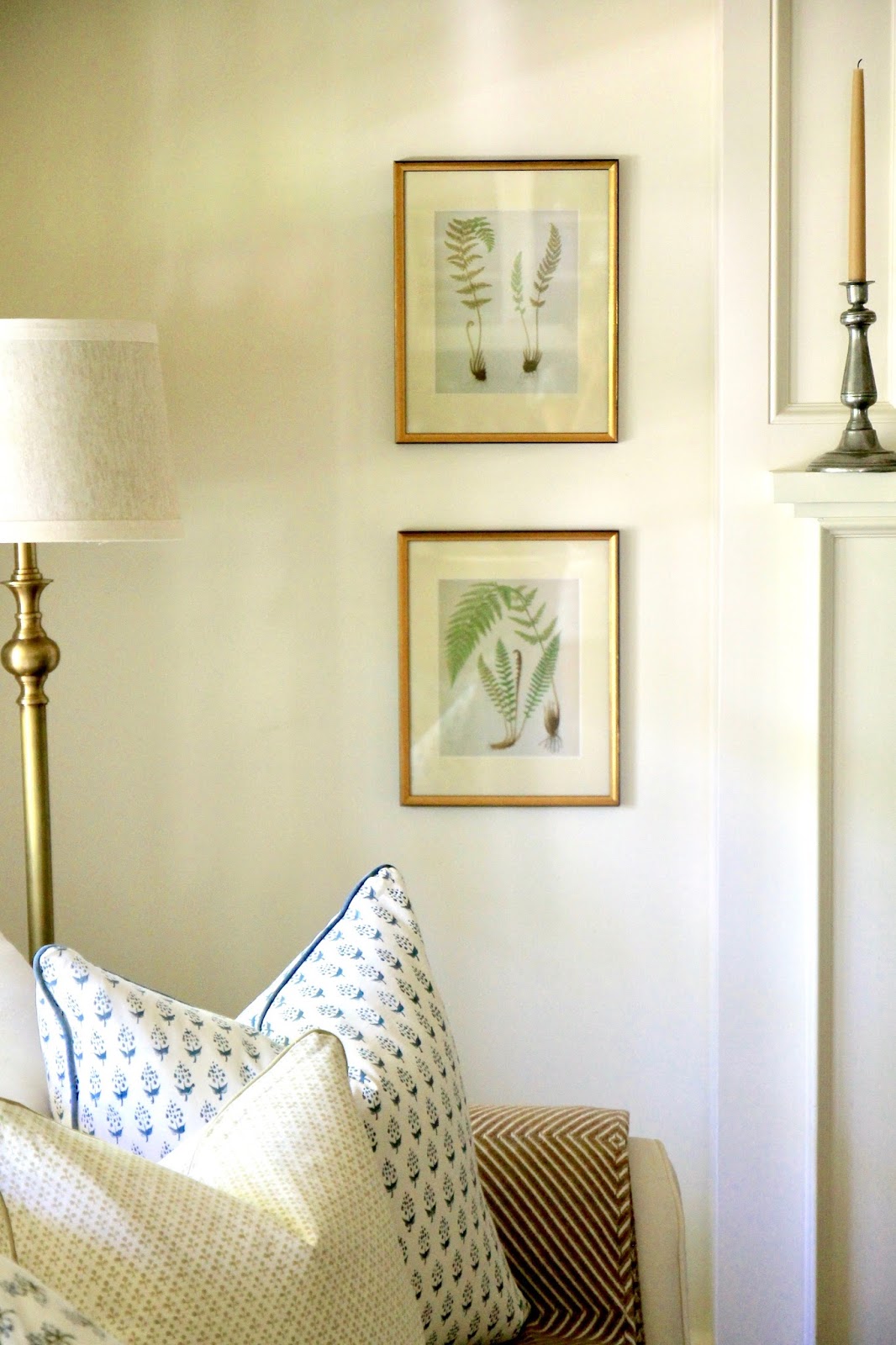 Jenny Steffens Hobick Gold Frames Ferns Botanical & French Cream Mat