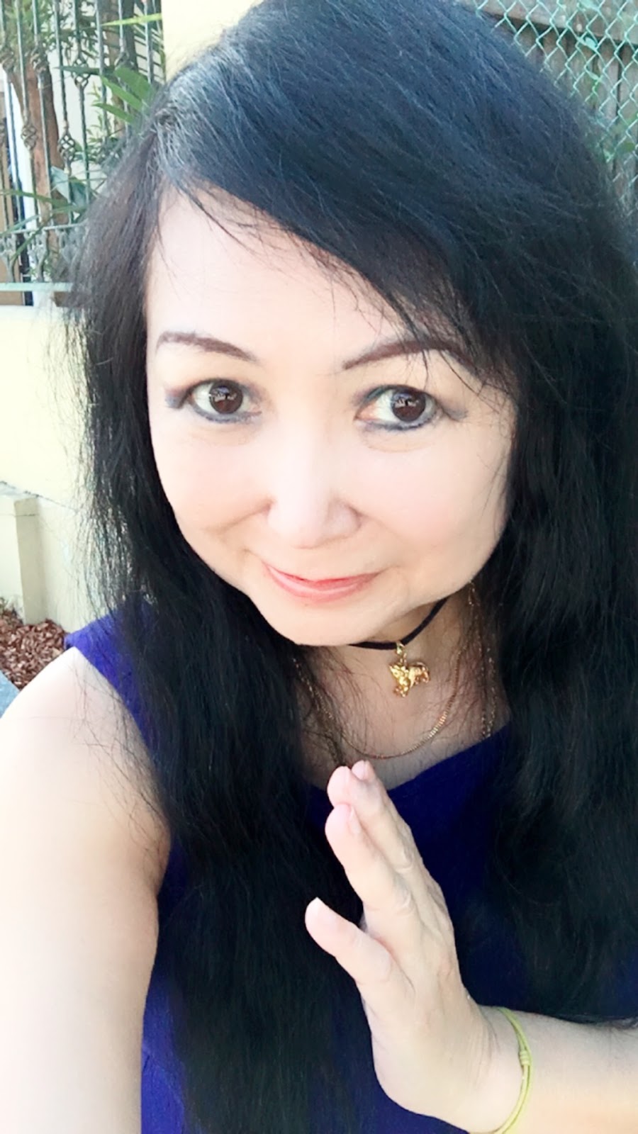 The Fengshui Savvy Investor 10 Fengshui Tips On Ceiling Fans