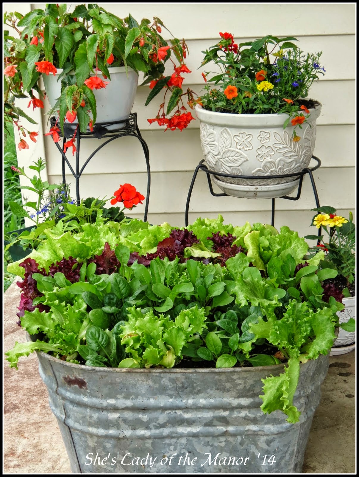 tub salad garden