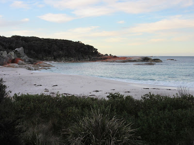 Tramo de Bay of Fires Walk, cerca de St. Helens, en Tasmania Tramo de Bay of Fires Walk, cerca de St. Helens, en Tasmania