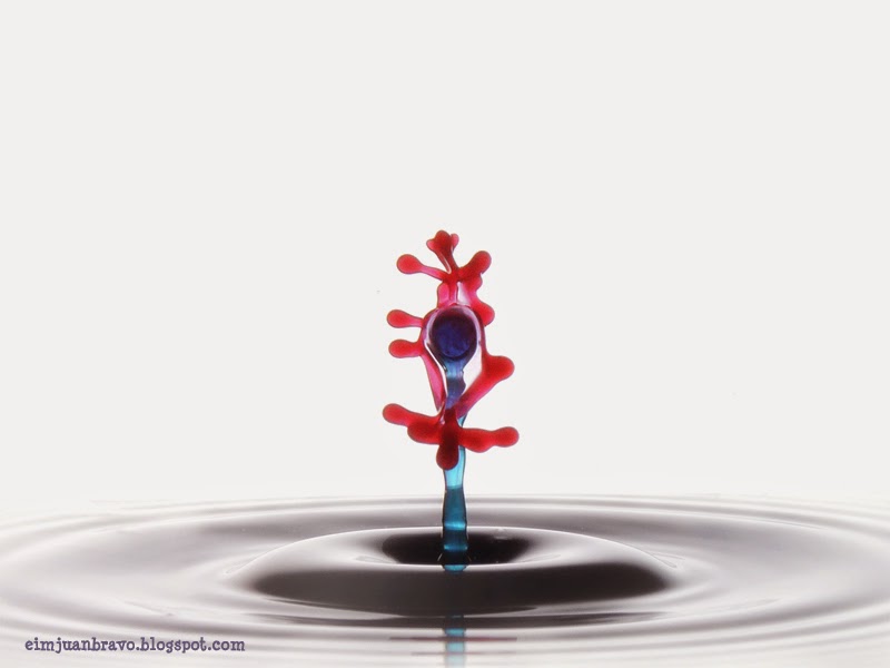 splash-water-drop