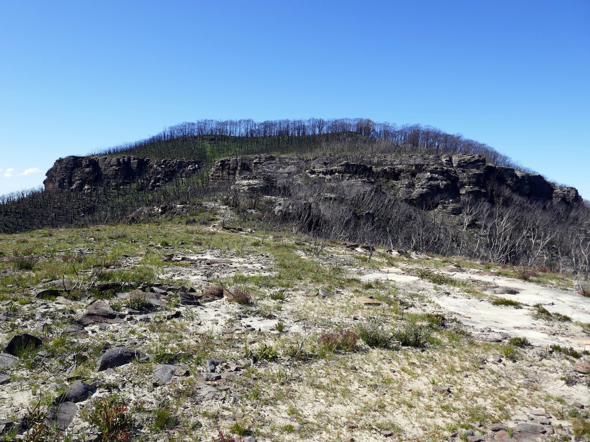 All The Gear But No Idea: Mount Hay & Butterbox Point