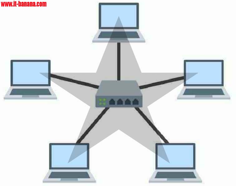 Pengertian Jaringan Komputer Macam Fungsi Tipe Topologi Lengkap