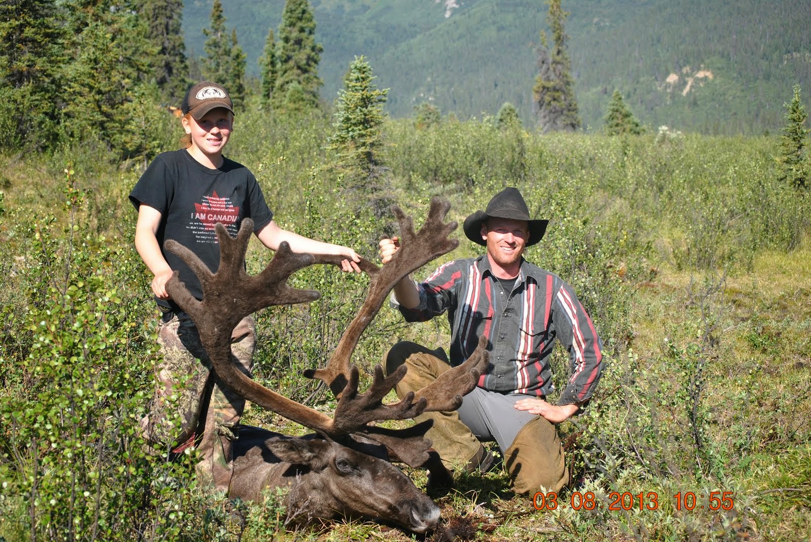 August Caribou