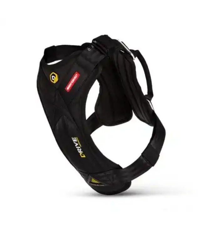 How to Secure Your Dog in Jeep Wrangler Tips and Accessories