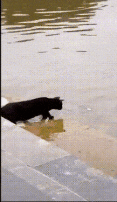 friday_gifdump_48.gif