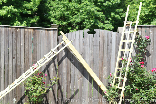 How to Build a Wooden Garden Arch | DIY Danielle