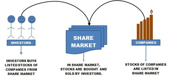 Investors, Share market, Companies relation