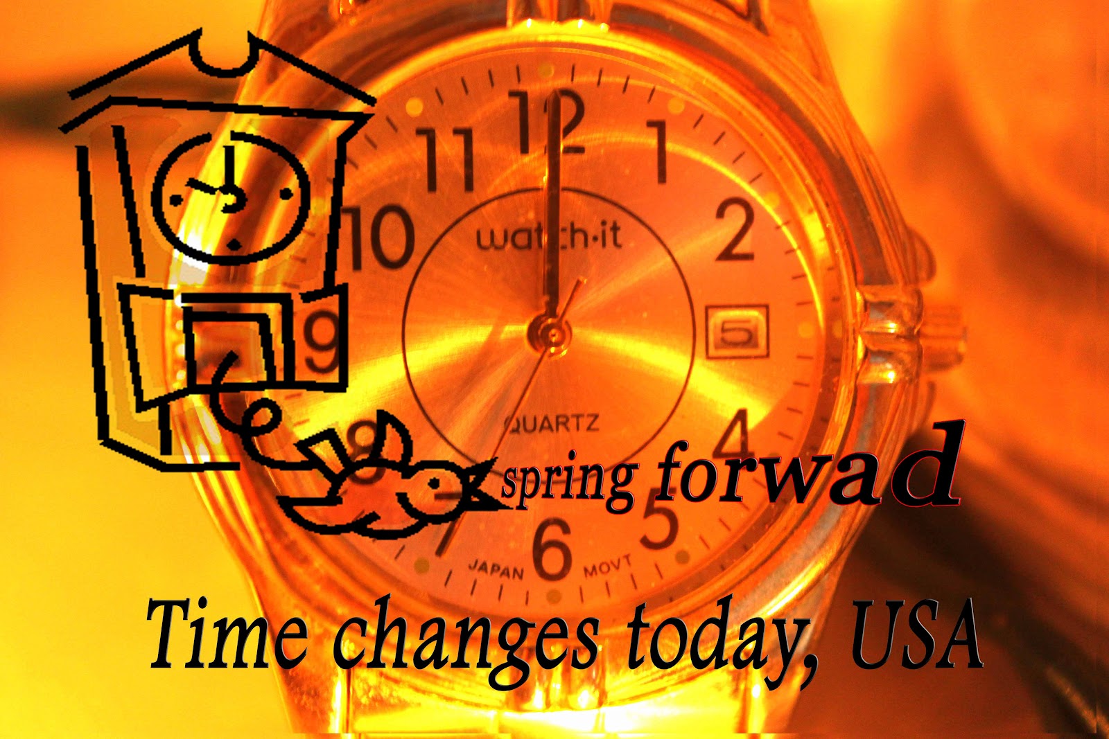 MadSnapper Time Change USA