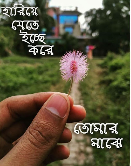 FB Status Bangla About LIFE Bangla FB Status Collection 2020 Bangla Feeds All You Need In