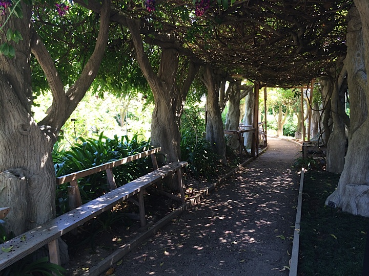 Rikachuuable Huntington Beach Botanical Gardents (Pt. 2)