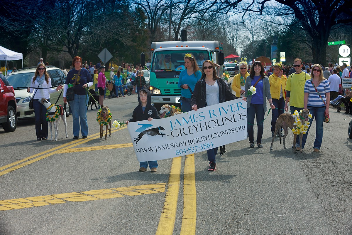 Pawstcards from Hampton Roads Daffodil Festival Parade, Gloucester, VA