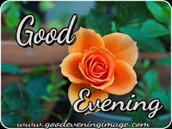 evening rose flowers wishes lovers