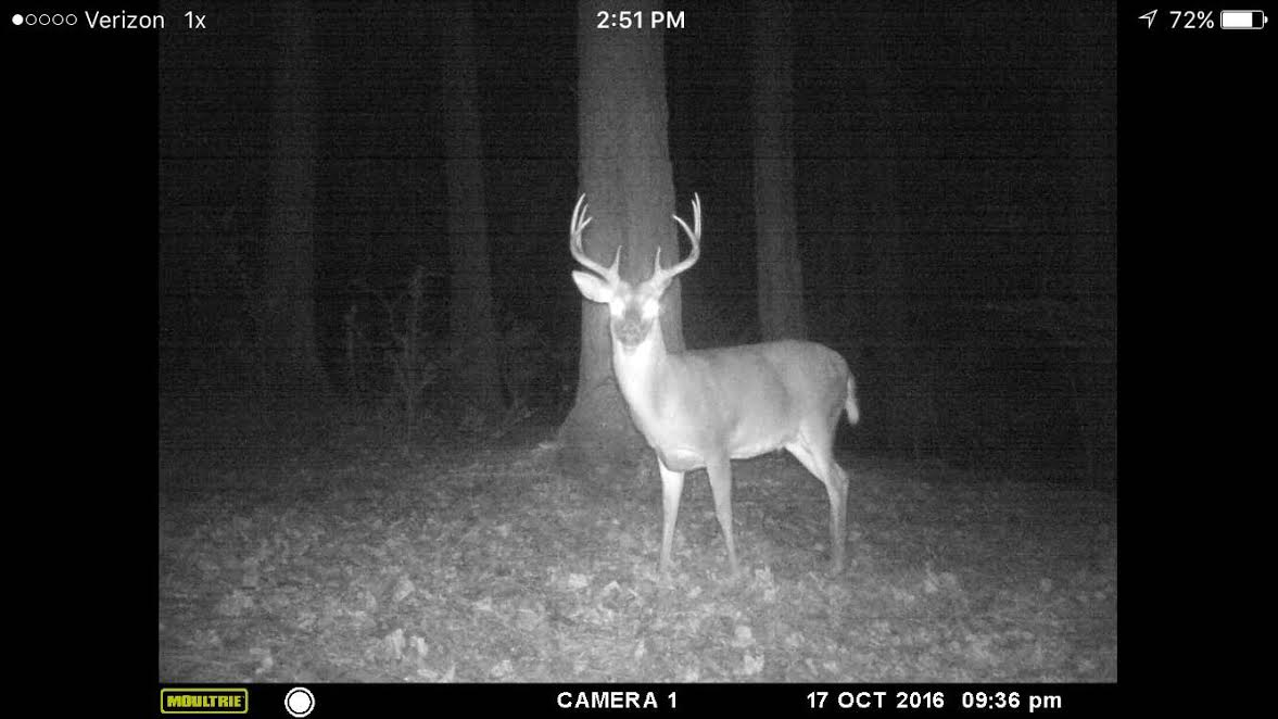 2016 South Alabama Deer Season 2016 South Alabama Deer Season