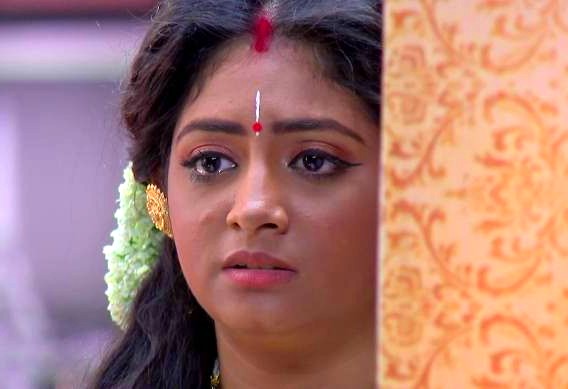 Krishnakoli 13 September 2020 Written Update Sujata and Basanta upset
