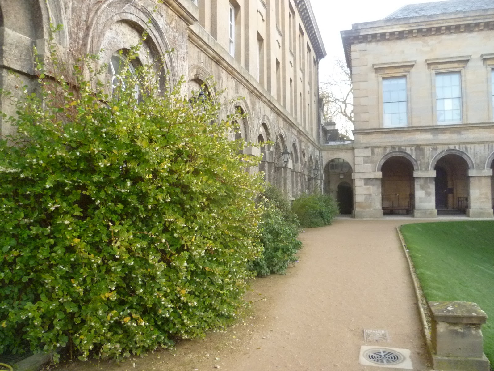Worcester College Gardeners 2009 2018 Sensory Overload From The