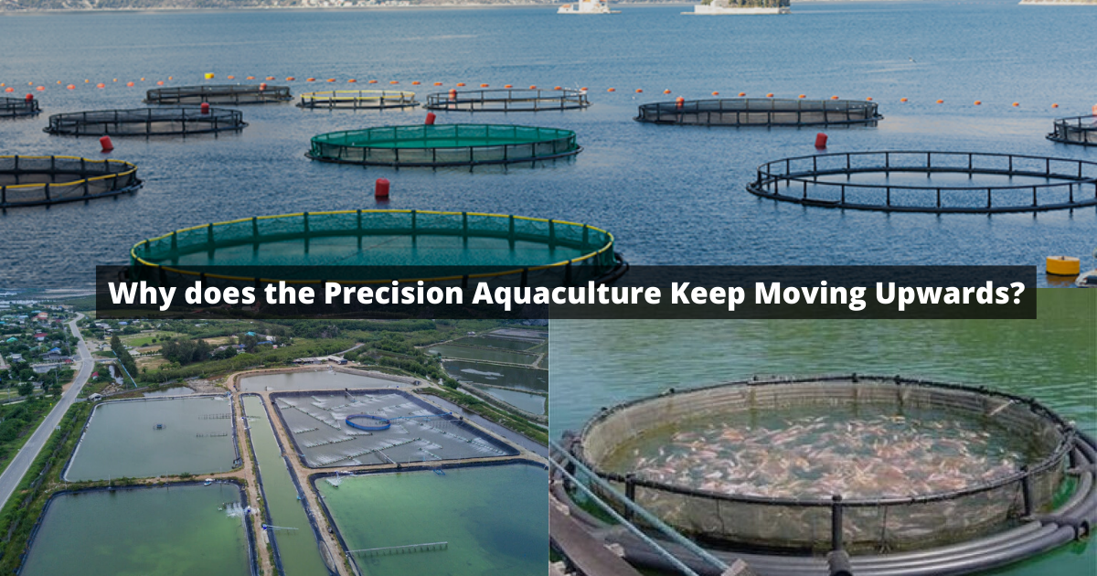 Precision Aquaculture A New Framework to Improve Production in Aquaculture