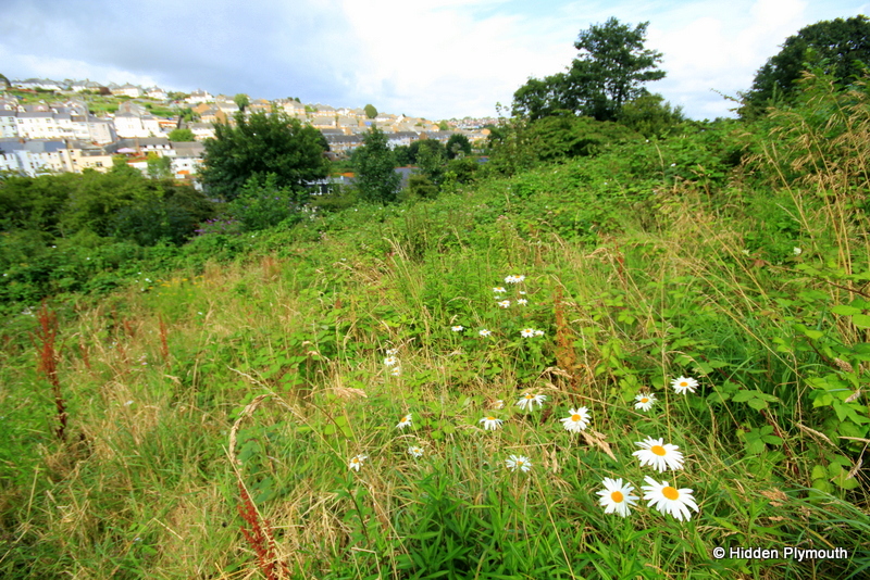 Hidden Plymouth The Land of Plymouth's Civil War