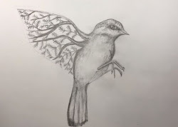 drawing bird flying angry birds step draw